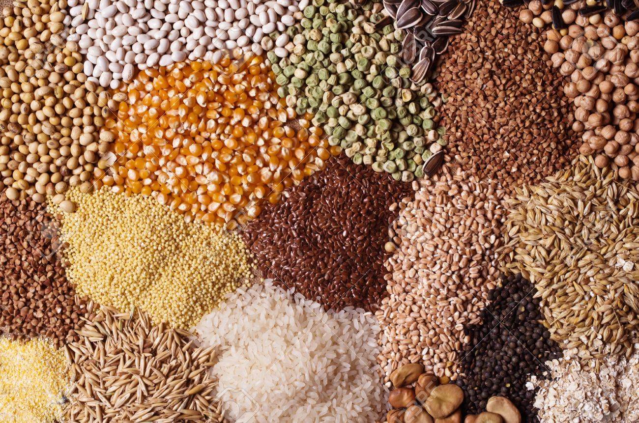 I semi e i cereali ricchi di sostanze nutritive