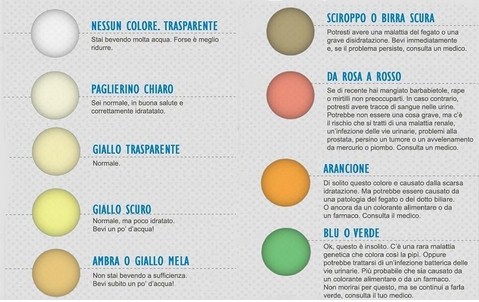 Tabella con il colore delle urine e relativa causa