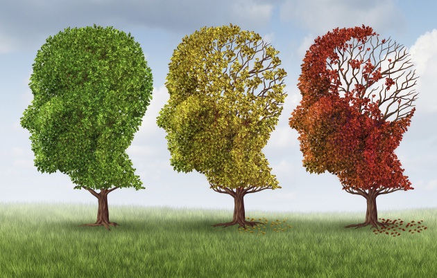 Prevenire l’Alzheimer si può!