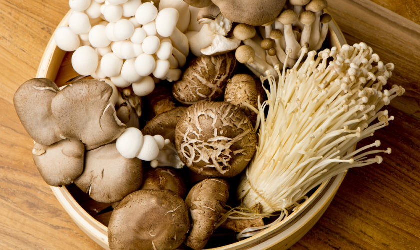 Micoterapia: quando i funghi curano!